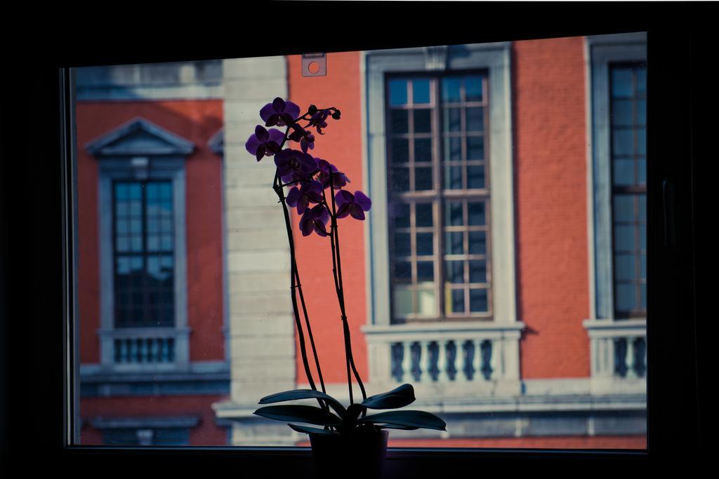 Appart-Hotel Leopold Liege Centre Oda fotoğraf
